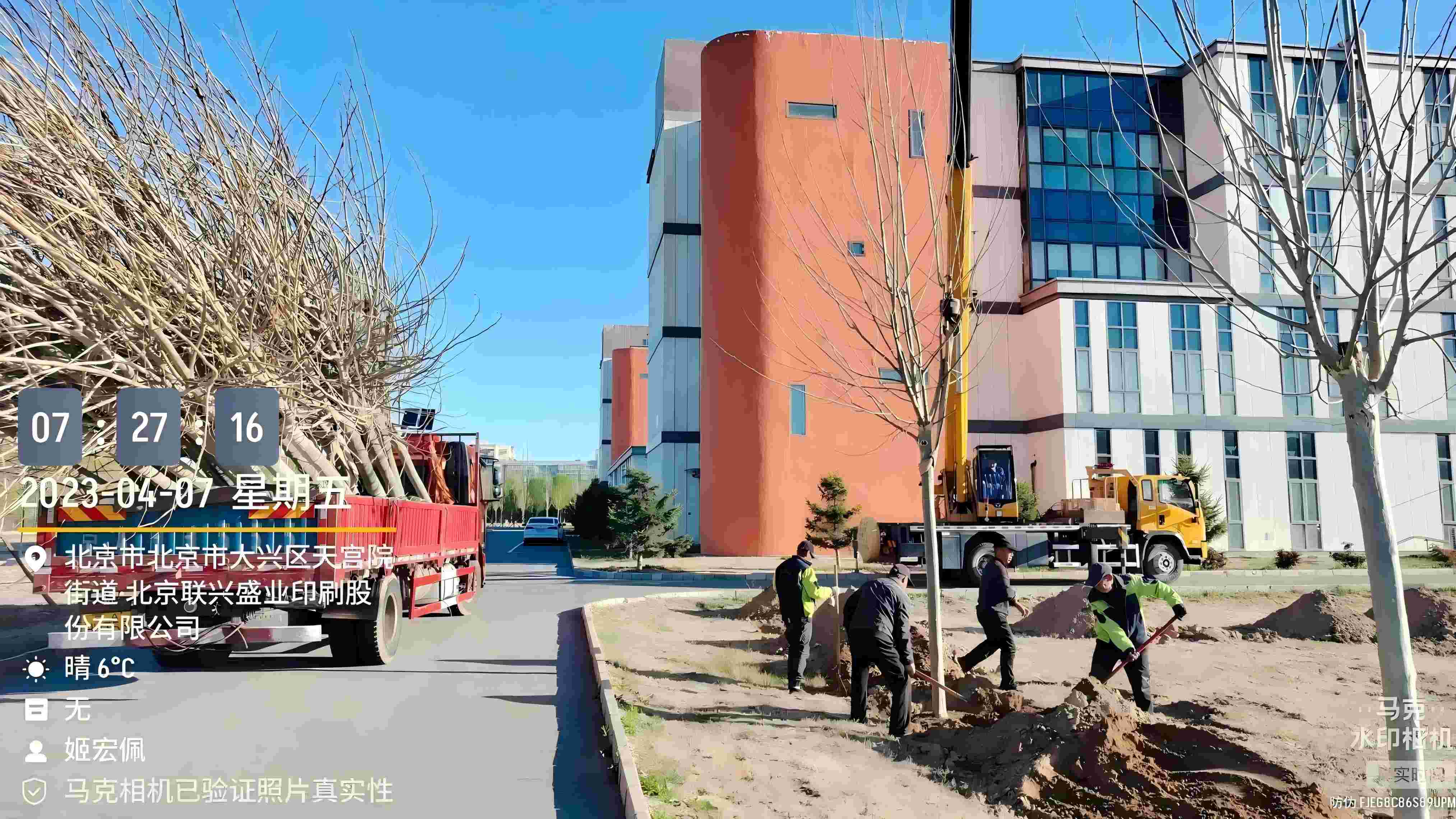 北京春季植樹最好的時間是什么時候？